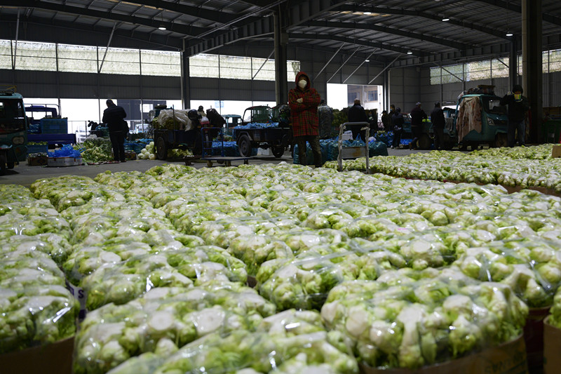 1580432586785389.jpg 1580432586785389.jpg