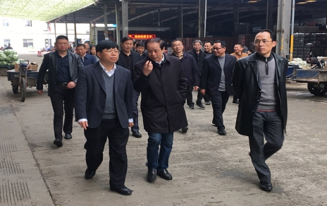 2017年3月16日下午，嘉興市委常委、常務副市長樓建明帶領市級相關部門負責人視察嘉興蔬菜批發(fā)市場