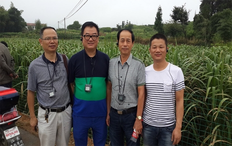 2014年8月，中國蔬菜流通協(xié)會會長戴中久與公司、市場領導一起考察蔬菜基地