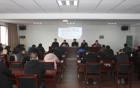 履行“兩會”職責、促進企業(yè)發(fā)展